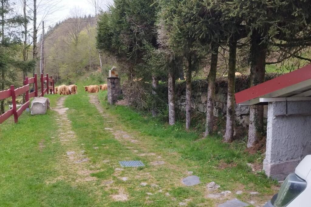 Maison De Montagne Vue Magnifique Ventron Dış mekan fotoğraf