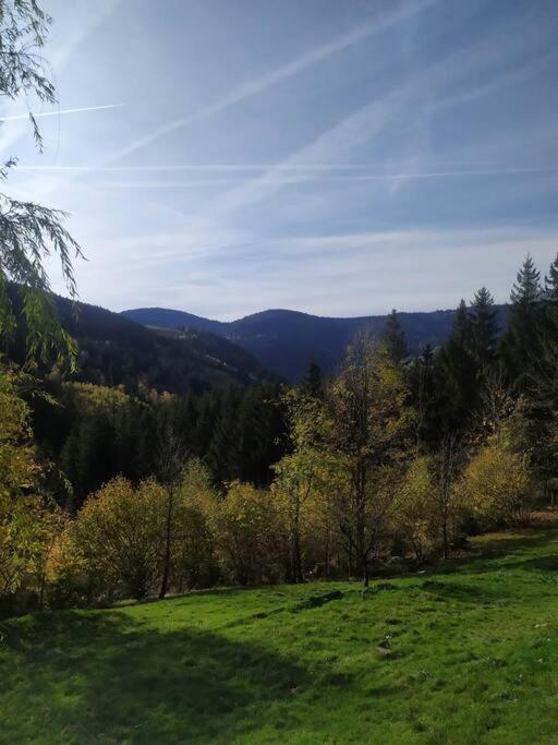 Maison De Montagne Vue Magnifique Ventron Dış mekan fotoğraf