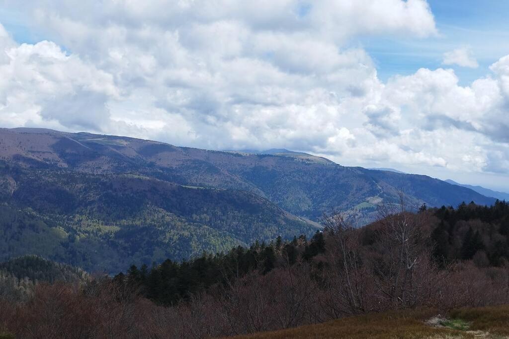 Maison De Montagne Vue Magnifique Ventron Dış mekan fotoğraf