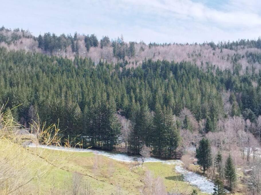 Maison De Montagne Vue Magnifique Ventron Dış mekan fotoğraf