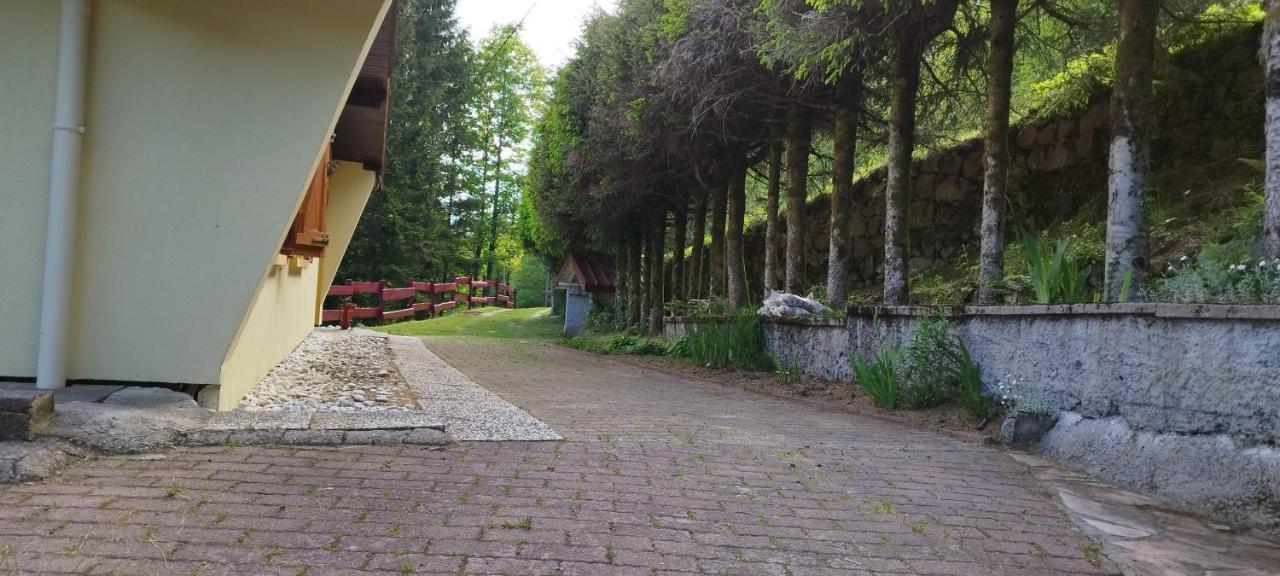 Maison De Montagne Vue Magnifique Ventron Dış mekan fotoğraf